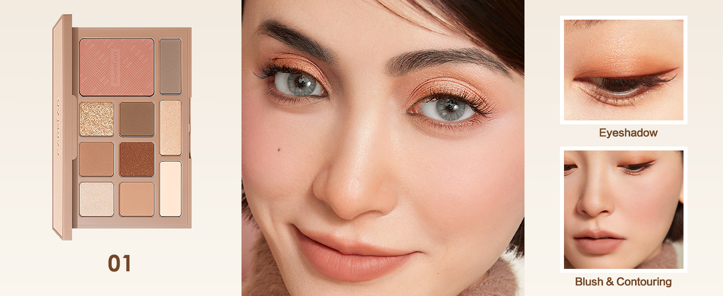 carslan 10 color eyeshadow eye makeup palette